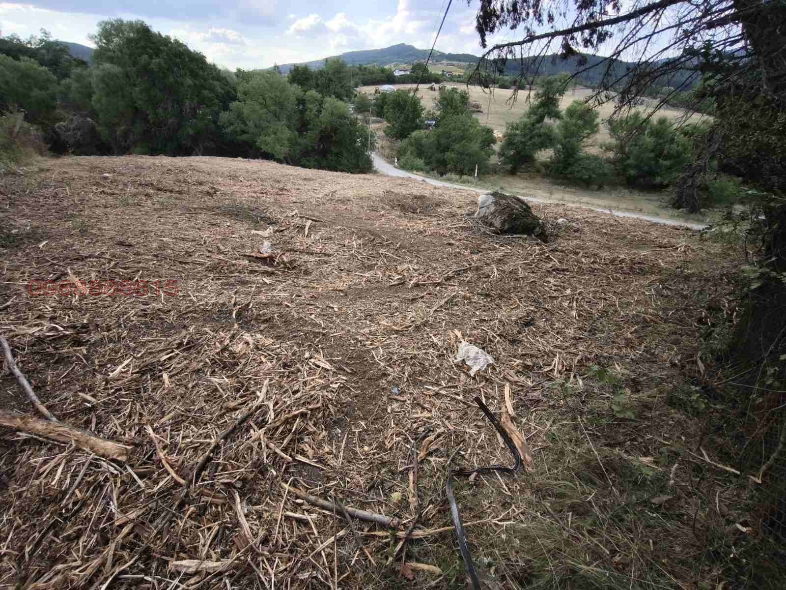 Продава ПАРЦЕЛ, гр. Драгоман, област София област, снимка 5 - Парцели - 55604618