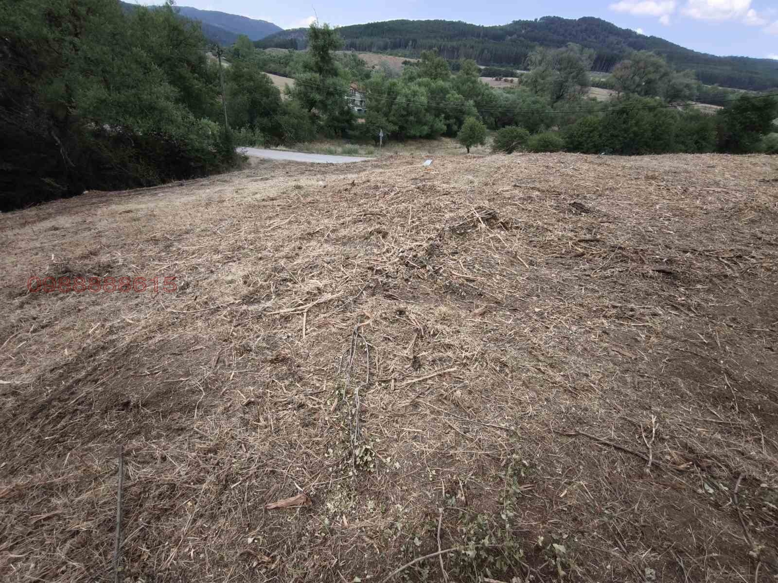 Продава ПАРЦЕЛ, гр. Драгоман, област София област, снимка 2 - Парцели - 55604618