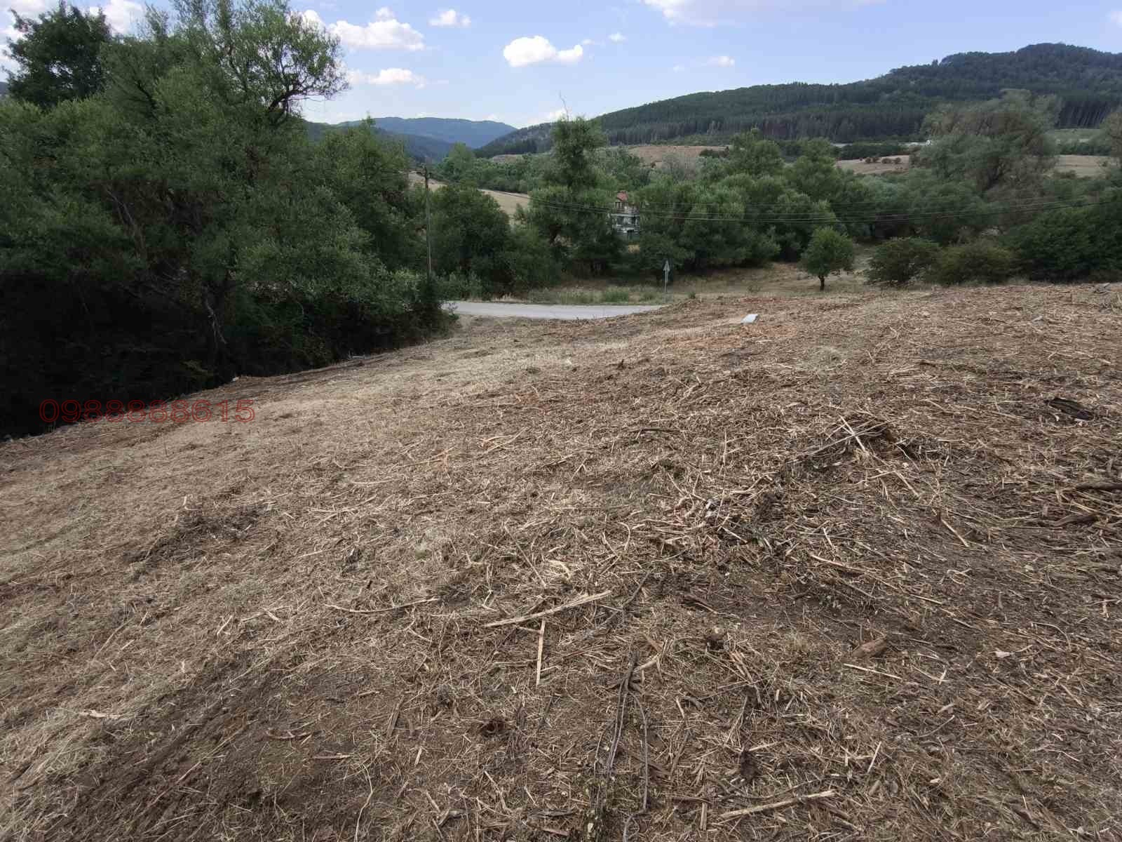 Продава ПАРЦЕЛ, гр. Драгоман, област София област, снимка 6 - Парцели - 55604618