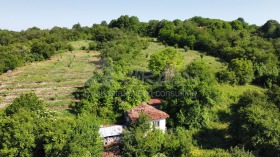 Продажба на имоти в с. Радево, област Варна - изображение 4 