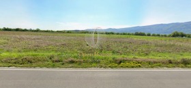 ������ ������� ���������� ����