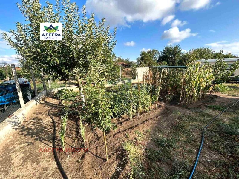 In vendita  Casa regione Pazardzhik , Vinogradets , 144 mq | 40750612 - Immagine [3]