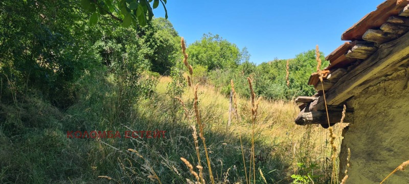 Продается  Сюжет София , Банкя , 866 кв.м | 61437350 - изображение [6]