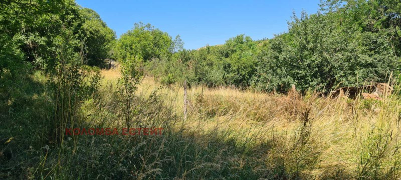 Продается  Сюжет София , Банкя , 866 кв.м | 61437350 - изображение [7]