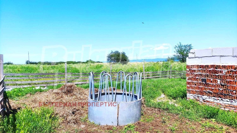 Продава  Пром. помещение област Стара Загора , с. Гита , 1600 кв.м | 87024551 - изображение [17]