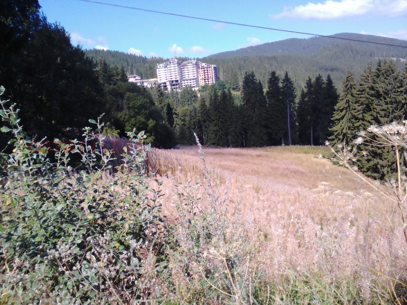 Продава ПАРЦЕЛ, к.к. Пампорово, област Смолян, снимка 6 - Парцели - 52756264