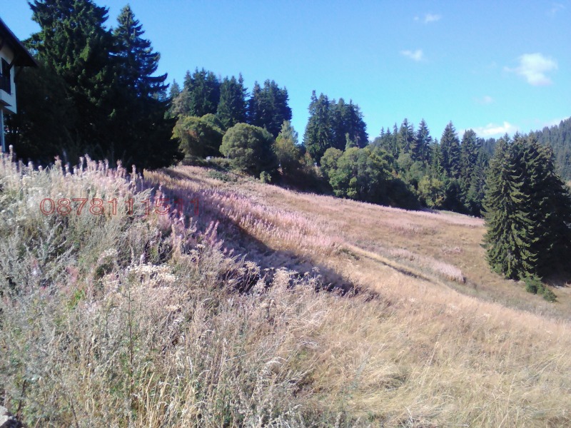 Продава ПАРЦЕЛ, к.к. Пампорово, област Смолян, снимка 4 - Парцели - 52756264