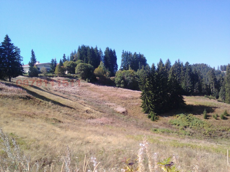 Продава ПАРЦЕЛ, к.к. Пампорово, област Смолян, снимка 2 - Парцели - 52756264