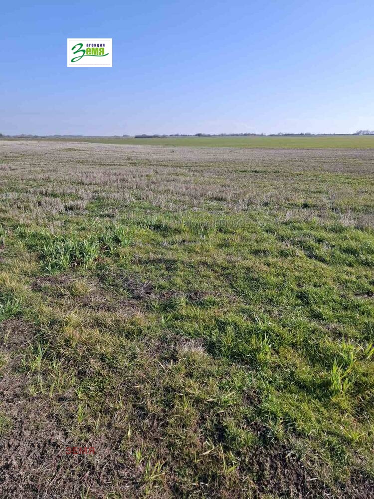 Продава ЗЕМЕДЕЛСКА ЗЕМЯ, с. Стрелец, област Стара Загора