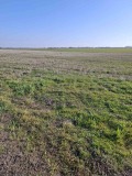 Продава ЗЕМЕДЕЛСКА ЗЕМЯ, с. Стрелец, област Стара Загора, снимка 1
