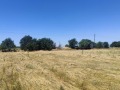 Продава ПАРЦЕЛ, град София, с. Бусманци • 352800 € • 42018602 — Holmes.bg