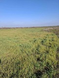 Продава  Земеделска земя област Стара Загора , с. Стрелец , 8.674 дка | 41848551 - изображение [2]