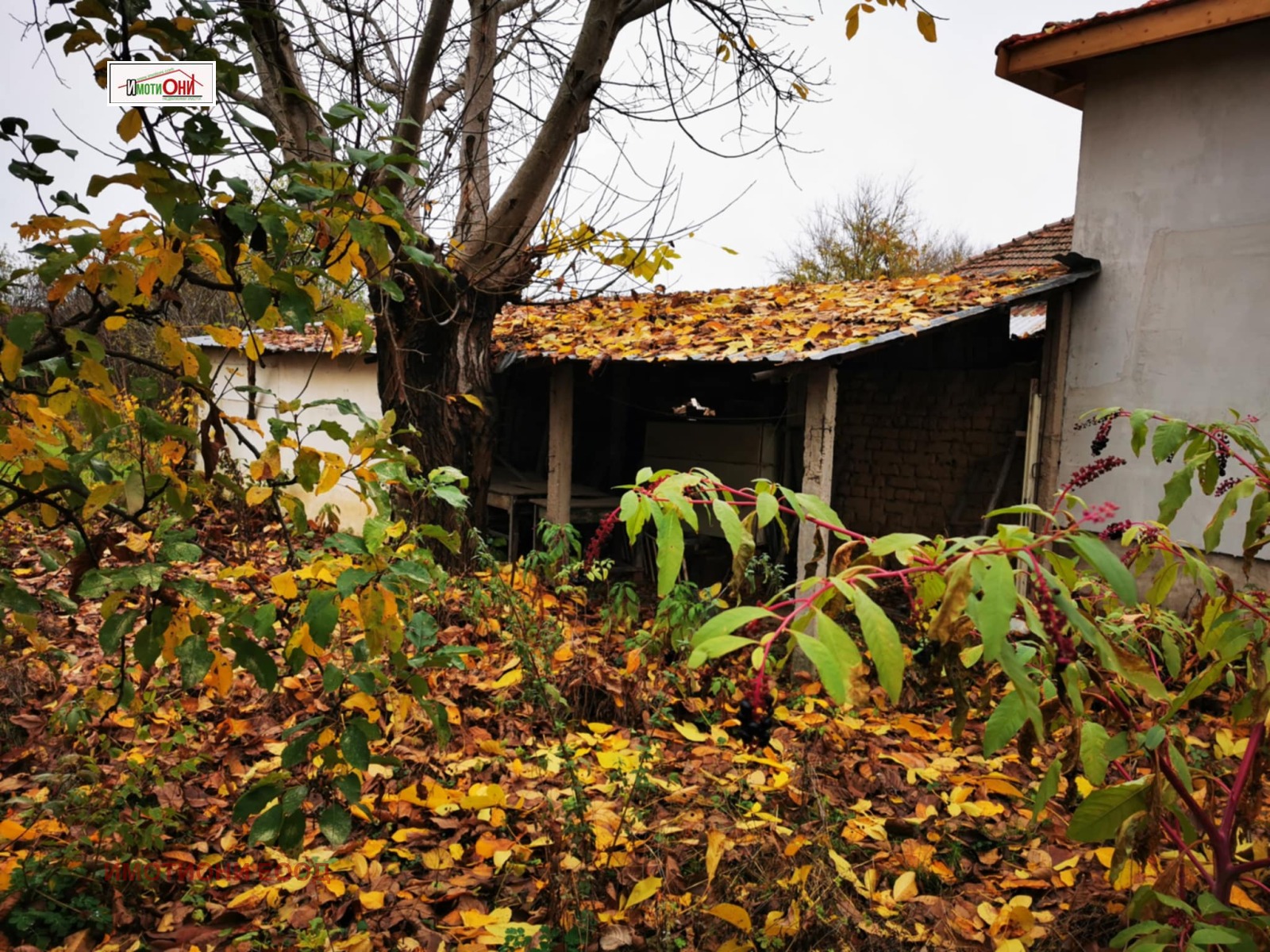 ������� ���� | Imot.bg � ����������� 12