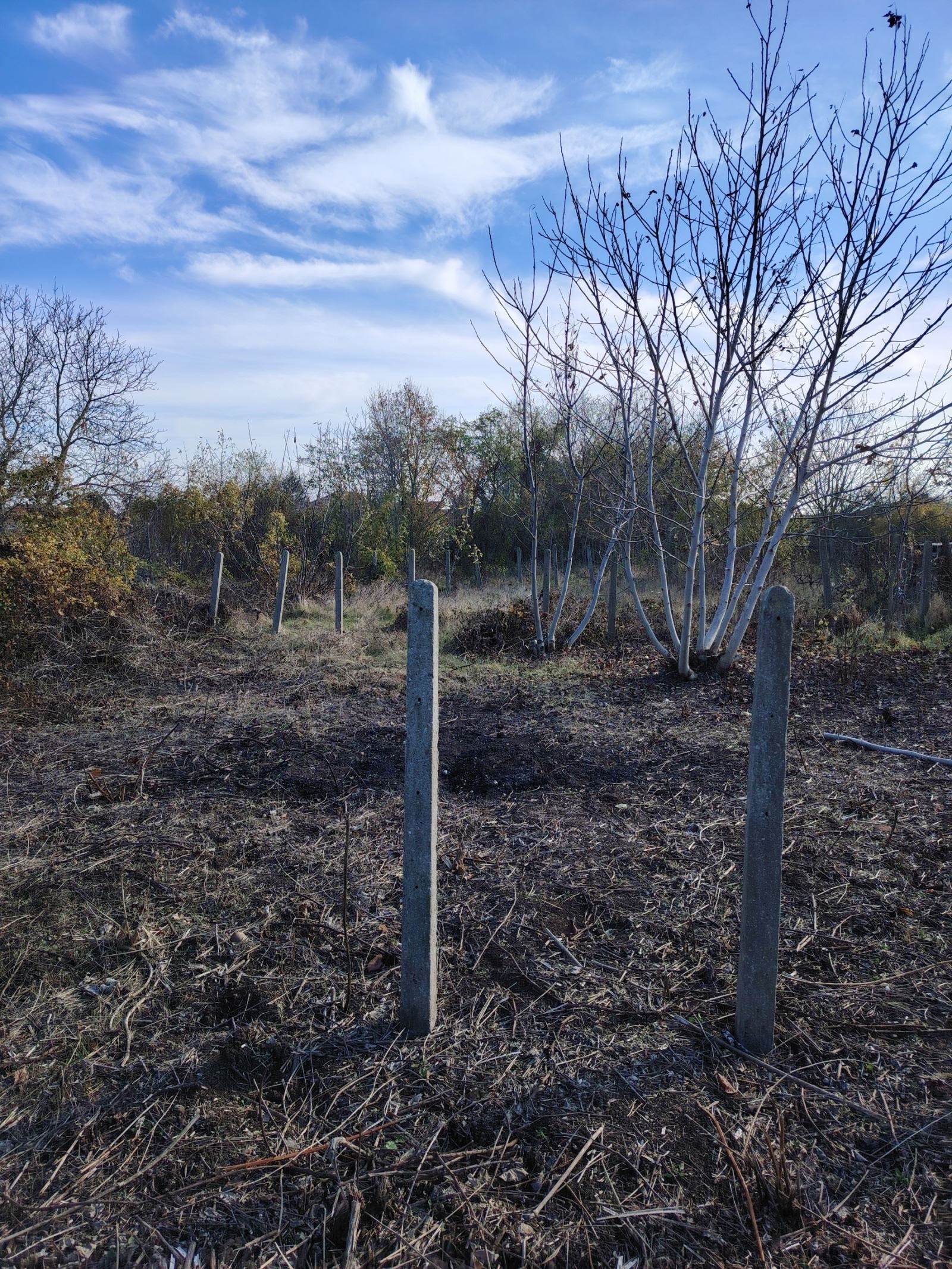 ������� ���� | Imot.bg � ����������� 9