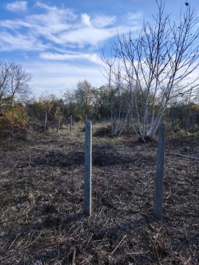 ������� ���� | Imot.bg � ����� ������ 9