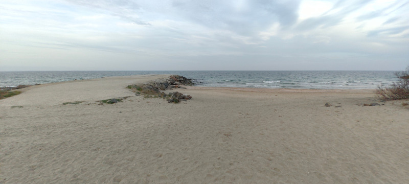Till salu  Studio region Burgas , Pomorie , 34 kvm | 64779831 - bild [10]