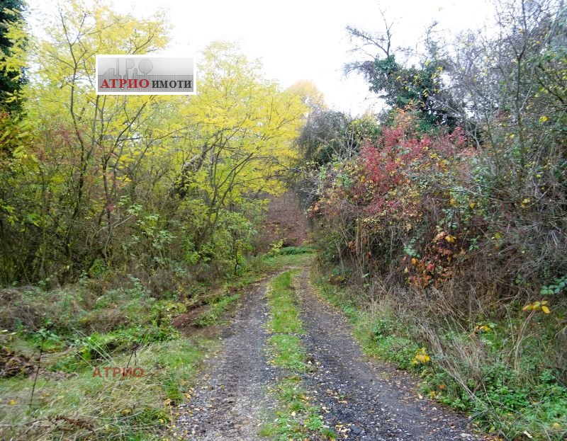 Продава ВИЛА, с. Шума, област София област, снимка 12 - Вили - 52373622