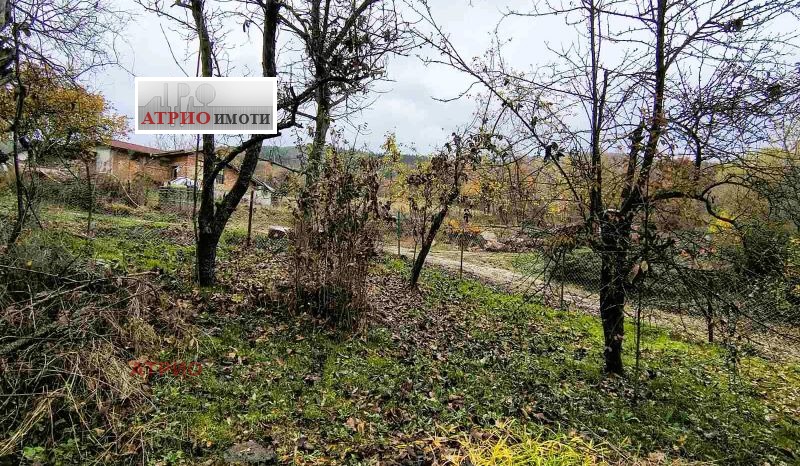 Продава ВИЛА, с. Шума, област София област, снимка 10 - Вили - 52373622