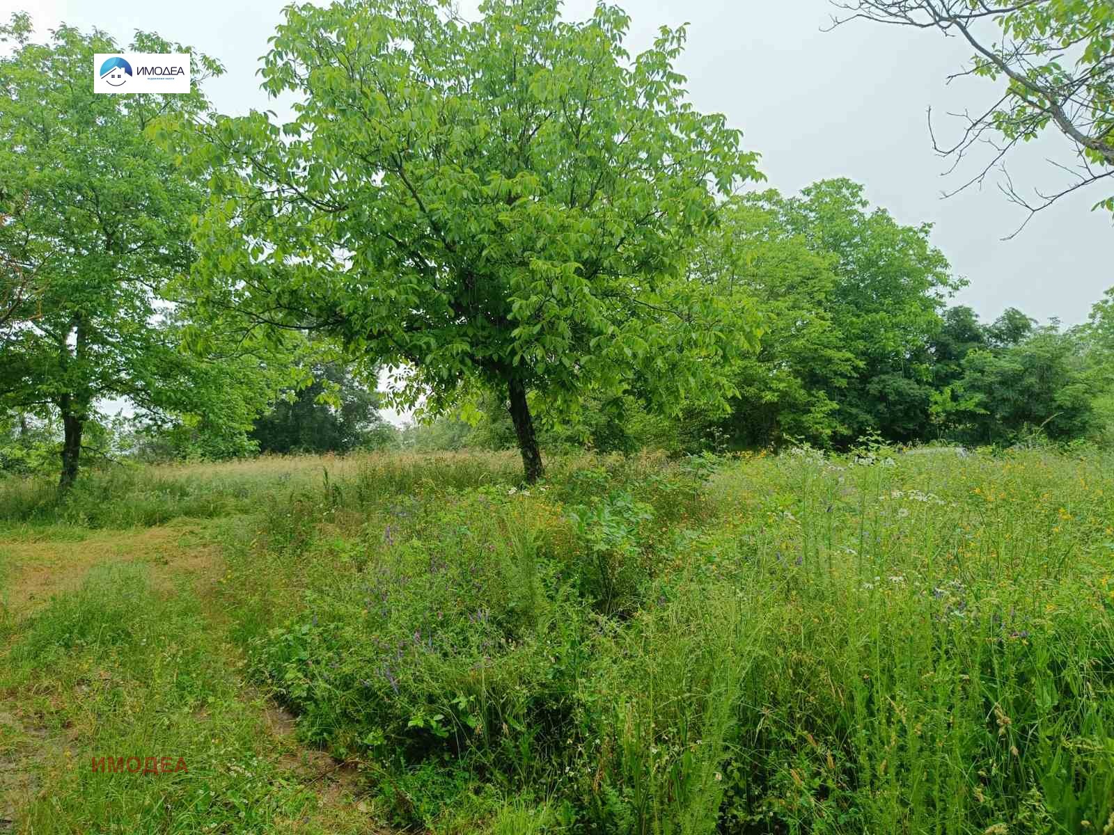 Продава КЪЩА, с. Искра, област Габрово, снимка 14 - Къщи - 55580757