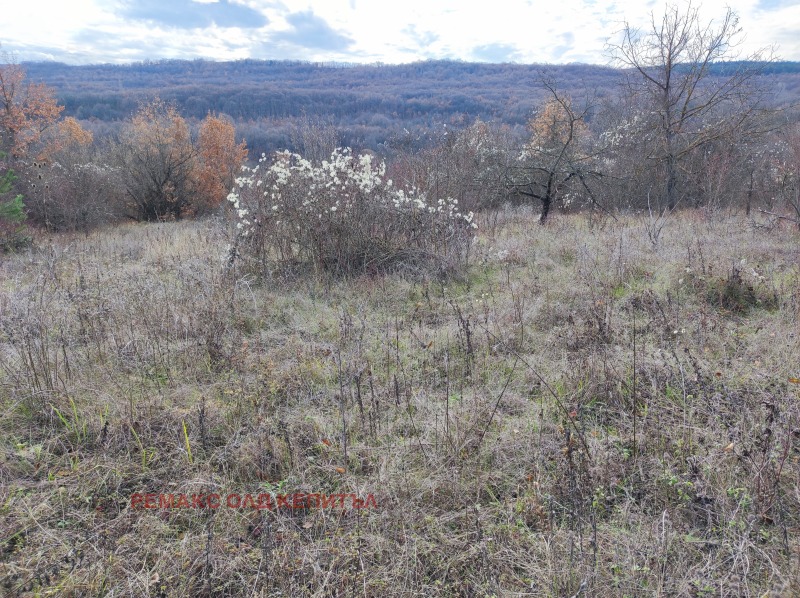 Продава ПАРЦЕЛ в област Велико Търново, с. Шереметя - 1090 кв.м / 15 000 € » 29 337.45 лв., РЕМАКС ОЛД КЕПИТЪЛ