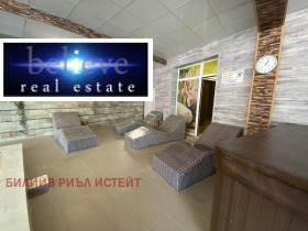 Studio Velingrad, regiunea Pazardzhik 14