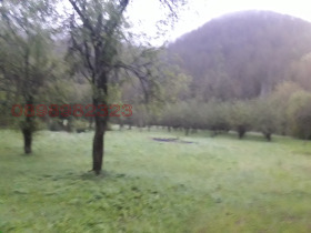 ������� ������ | Imot.bg � ����� ������ 15