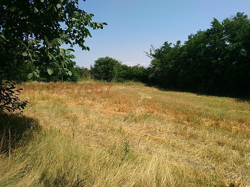 Продава ПАРЦЕЛ, гр. Козлодуй, област Враца, снимка 2 - Парцели - 53081990