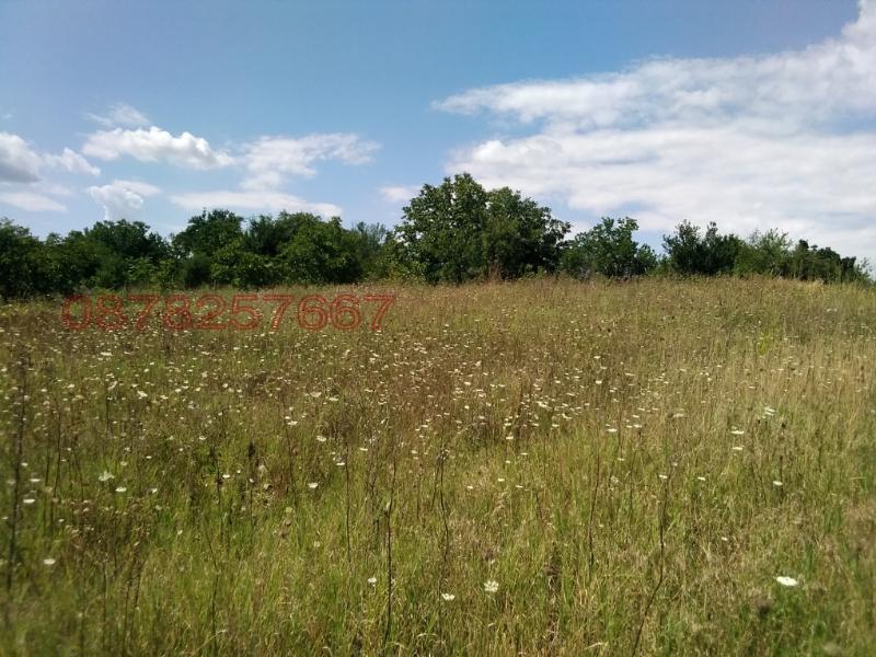 Продава ПАРЦЕЛ, гр. Козлодуй, област Враца, снимка 7 - Парцели - 53081990