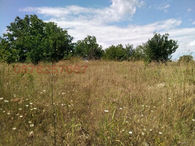 Продава ПАРЦЕЛ, гр. Козлодуй, област Враца, снимка 6 - Парцели - 53081990