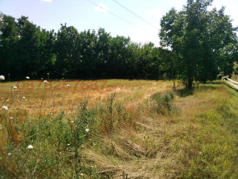 Продава ПАРЦЕЛ, гр. Козлодуй, област Враца, снимка 3 - Парцели - 53081990