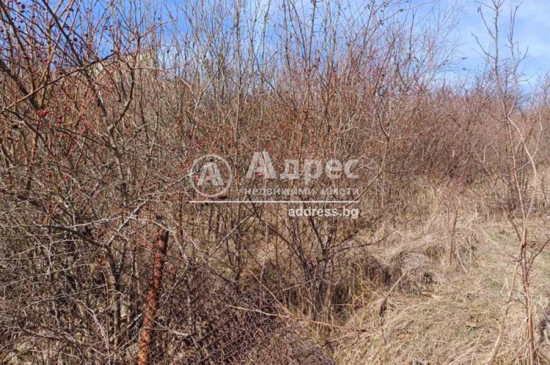 For Sale  Plot Sofia , Bankya , 586 sq.m | 98970877 - image [2]