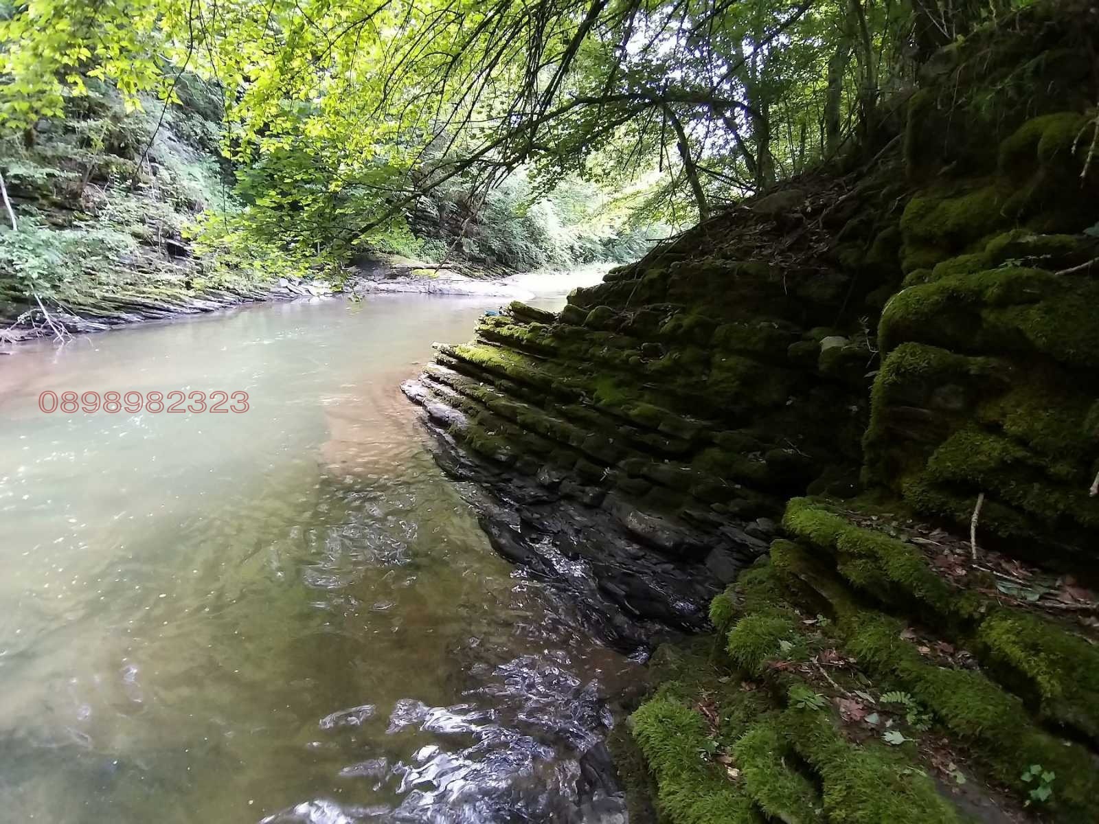 Продава ПАРЦЕЛ, с. Рибарица, област Ловеч, снимка 10 - Парцели - 54527511