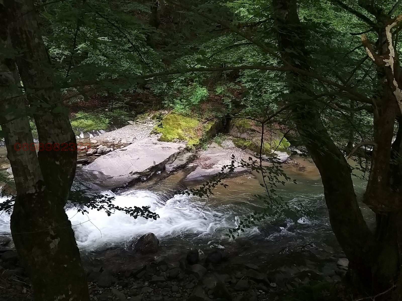 Продава ПАРЦЕЛ, с. Рибарица, област Ловеч, снимка 11 - Парцели - 54527511