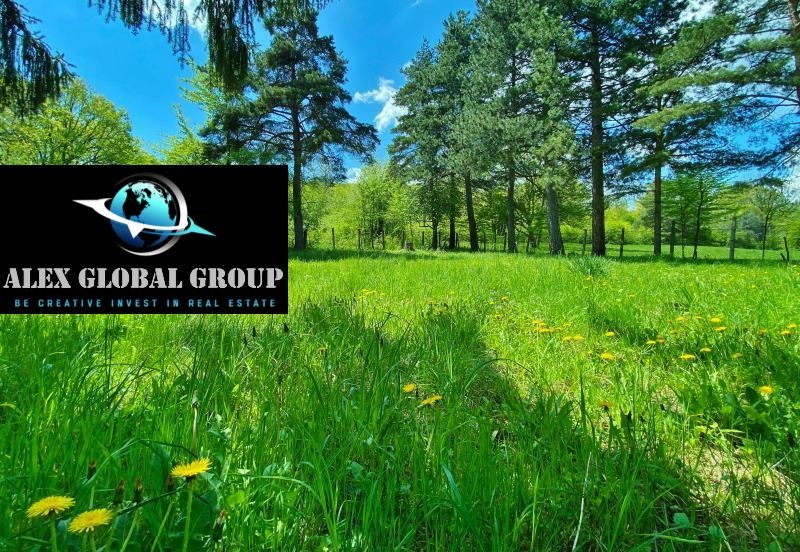 ������� ������ | Imot.bg � ����������� 1