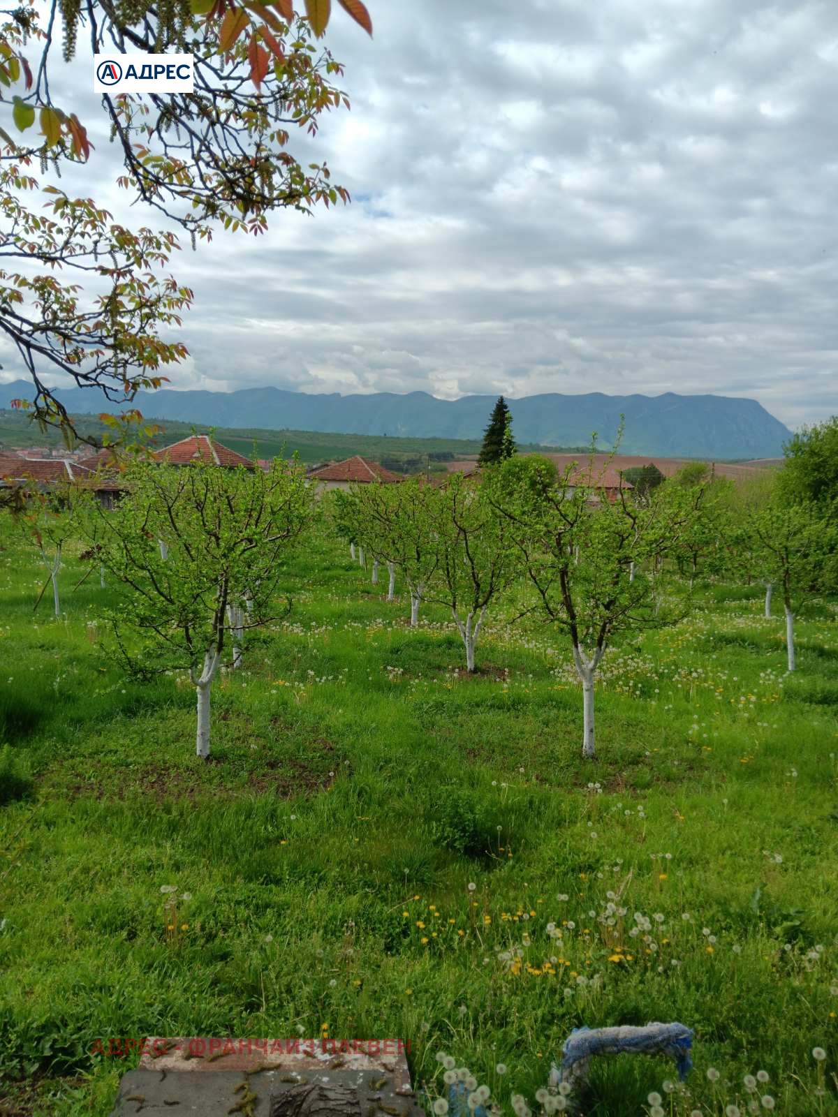 ������� ������ | Imot.bg � ����������� 1