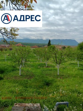 ����� ������� ������,�. ������, ������ �����