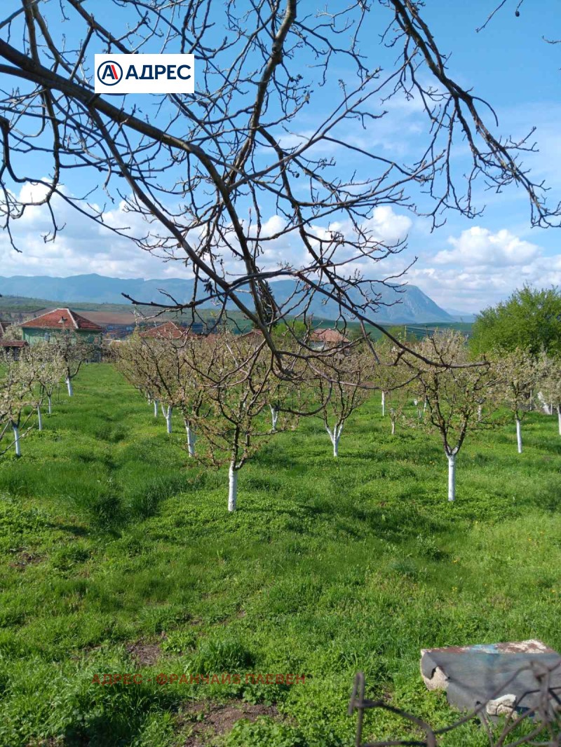 Продава ПАРЦЕЛ, с. Лиляче, област Враца, снимка 2 - Парцели - 53164297