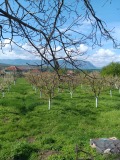 Продава ПАРЦЕЛ, с. Лиляче, област Враца, снимка 2