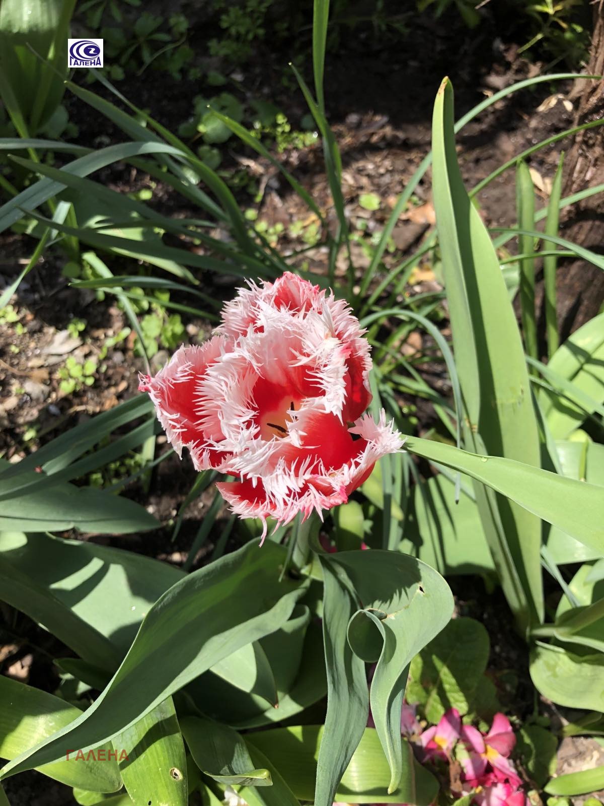 Продава ПАРЦЕЛ | Imot.bg — изображение 2