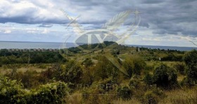 ������� ������ | Imot.bg � ����� ������ 2