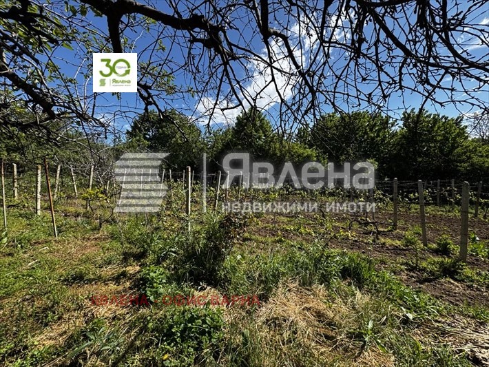 For Sale  House region Varna , Osenovo , 70 sq.m | 63486467 - image [8]
