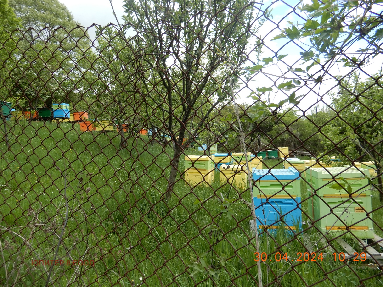 Продава ПАРЦЕЛ, с. Светля, област Перник, снимка 12 - Парцели - 56194961