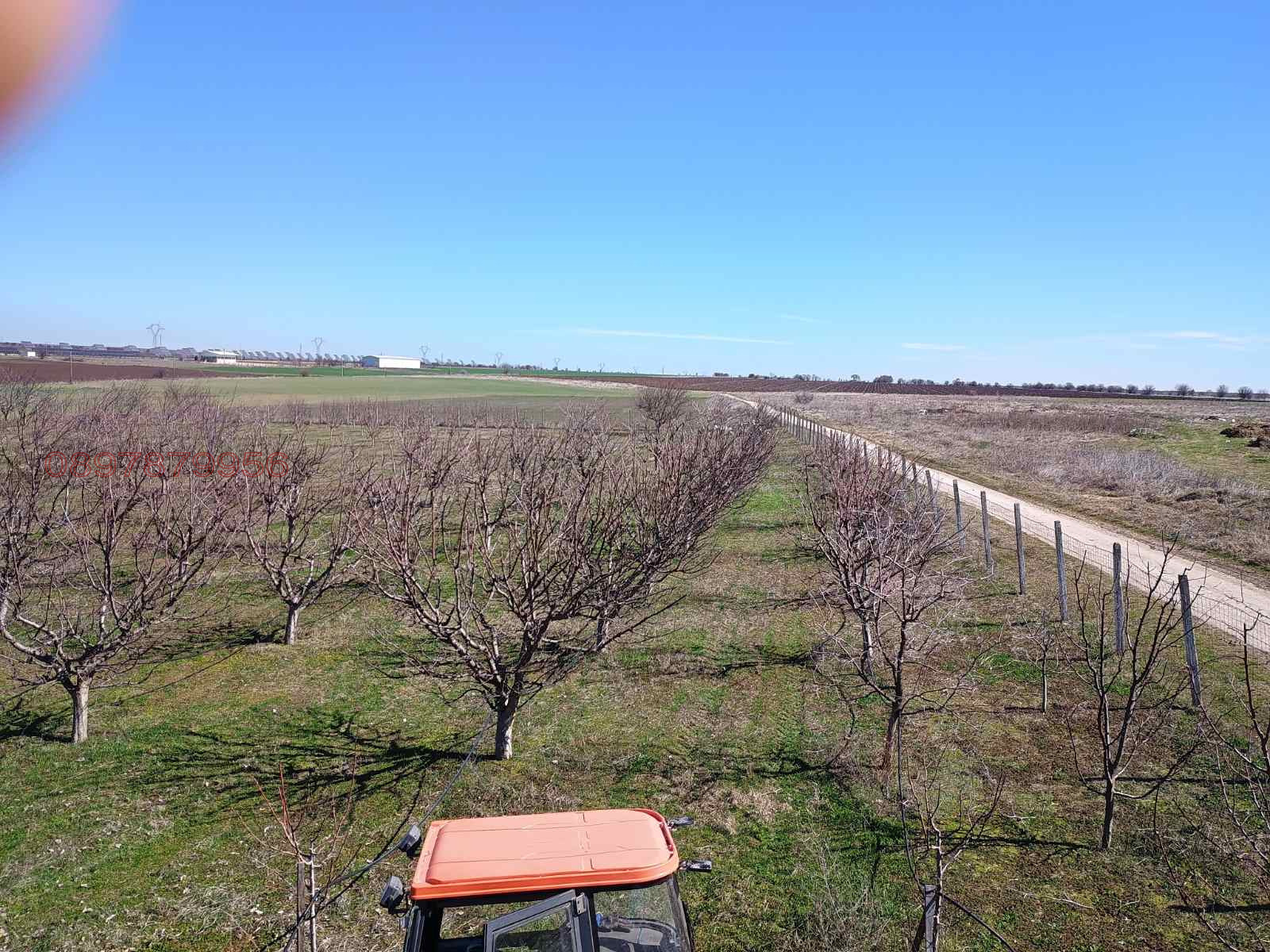 Продава ЗЕМЕДЕЛСКА ЗЕМЯ, с. Конуш, област Пловдив