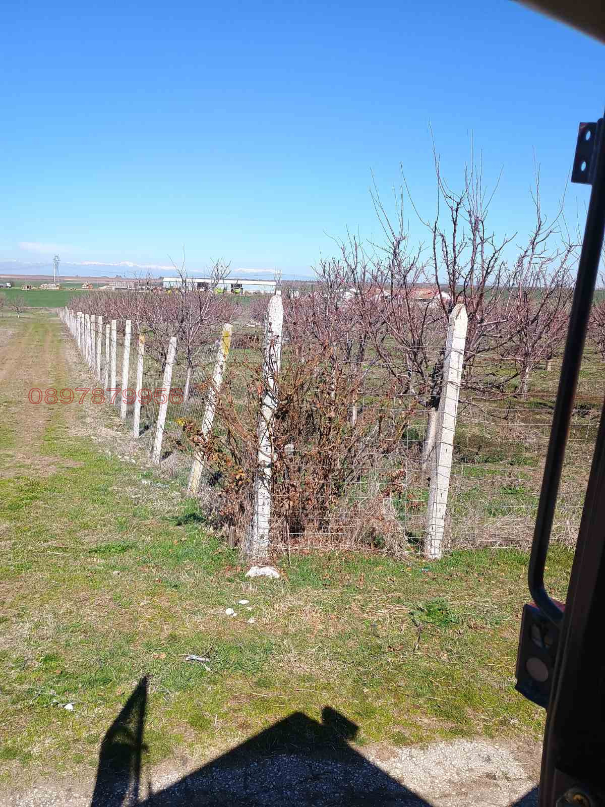 Продава ЗЕМЕДЕЛСКА ЗЕМЯ, с. Конуш, област Пловдив, снимка 3 - Земеделска земя - 54080021