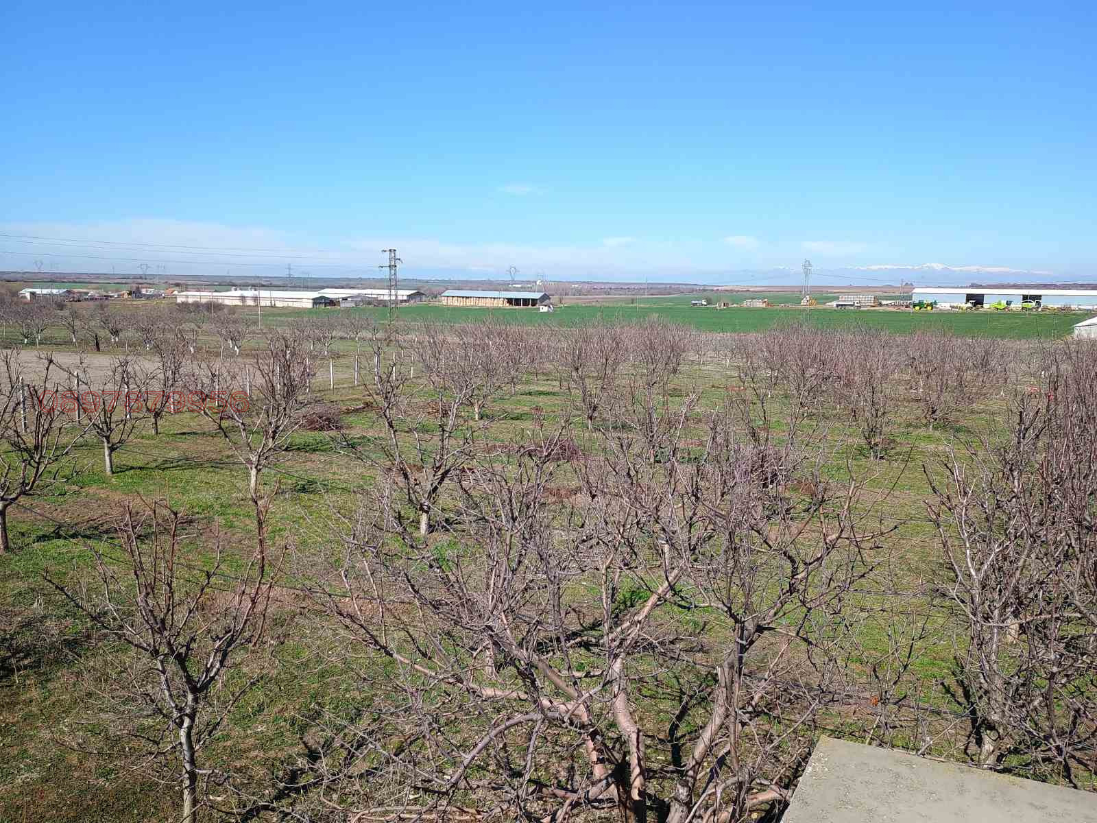 Продава ЗЕМЕДЕЛСКА ЗЕМЯ, с. Конуш, област Пловдив, снимка 2 - Земеделска земя - 54080021