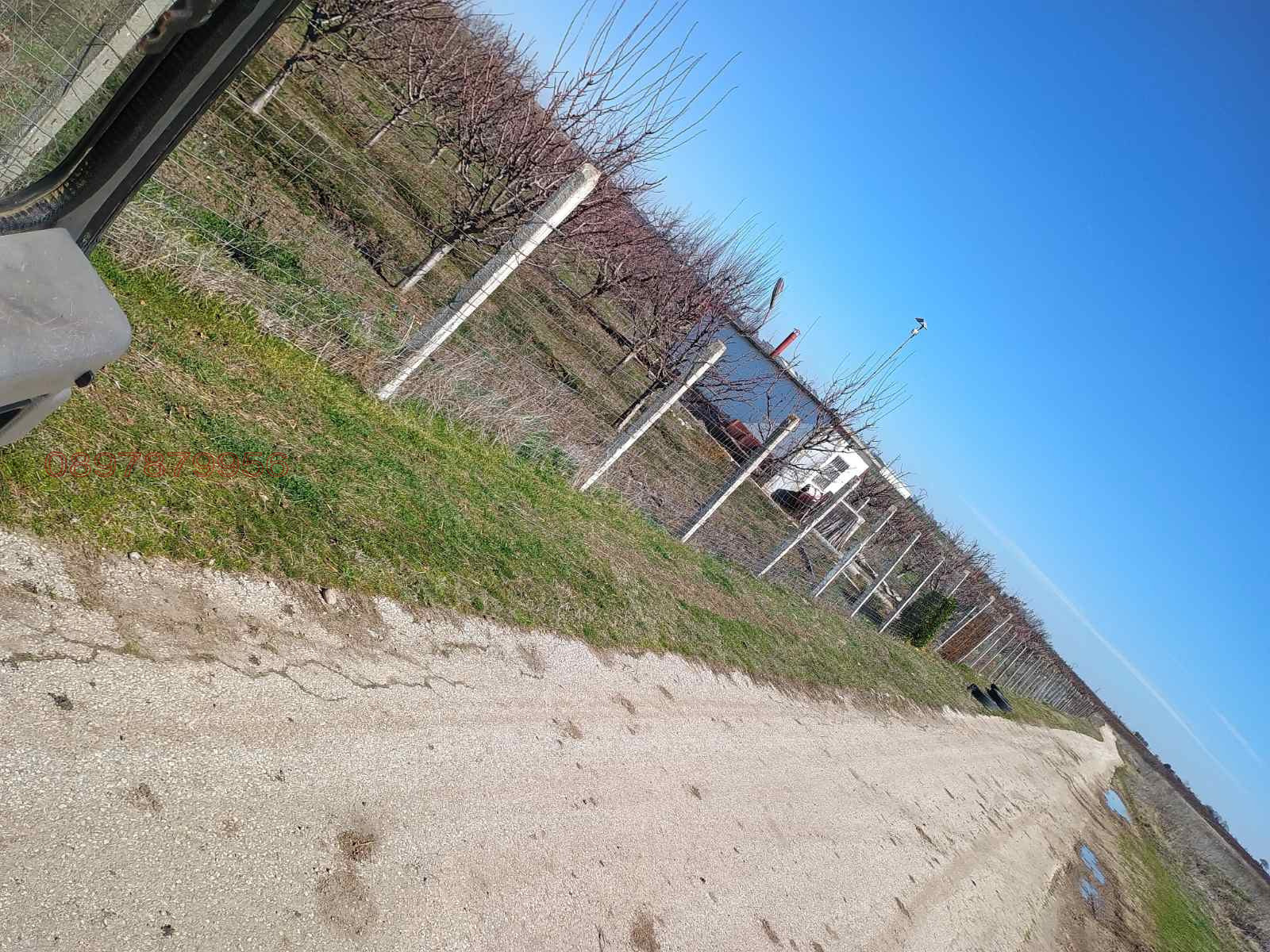 Продава ЗЕМЕДЕЛСКА ЗЕМЯ, с. Конуш, област Пловдив, снимка 4 - Земеделска земя - 54080021