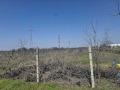 Продава ПАРЦЕЛ, с. Браниполе, област Пловдив, снимка 3