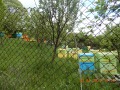 Продава ПАРЦЕЛ, с. Светля, област Перник, снимка 12