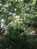 Продава 4-СТАЕН, град София, Център • 360000 € • 50002770 — Holmes.bg