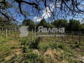 Продава КЪЩА, област Варна, с. Осеново • 79900 € • 56685553 — Holmes.bg
